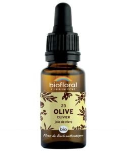 Olivier - Olive (n°23) BIO, 20 ml